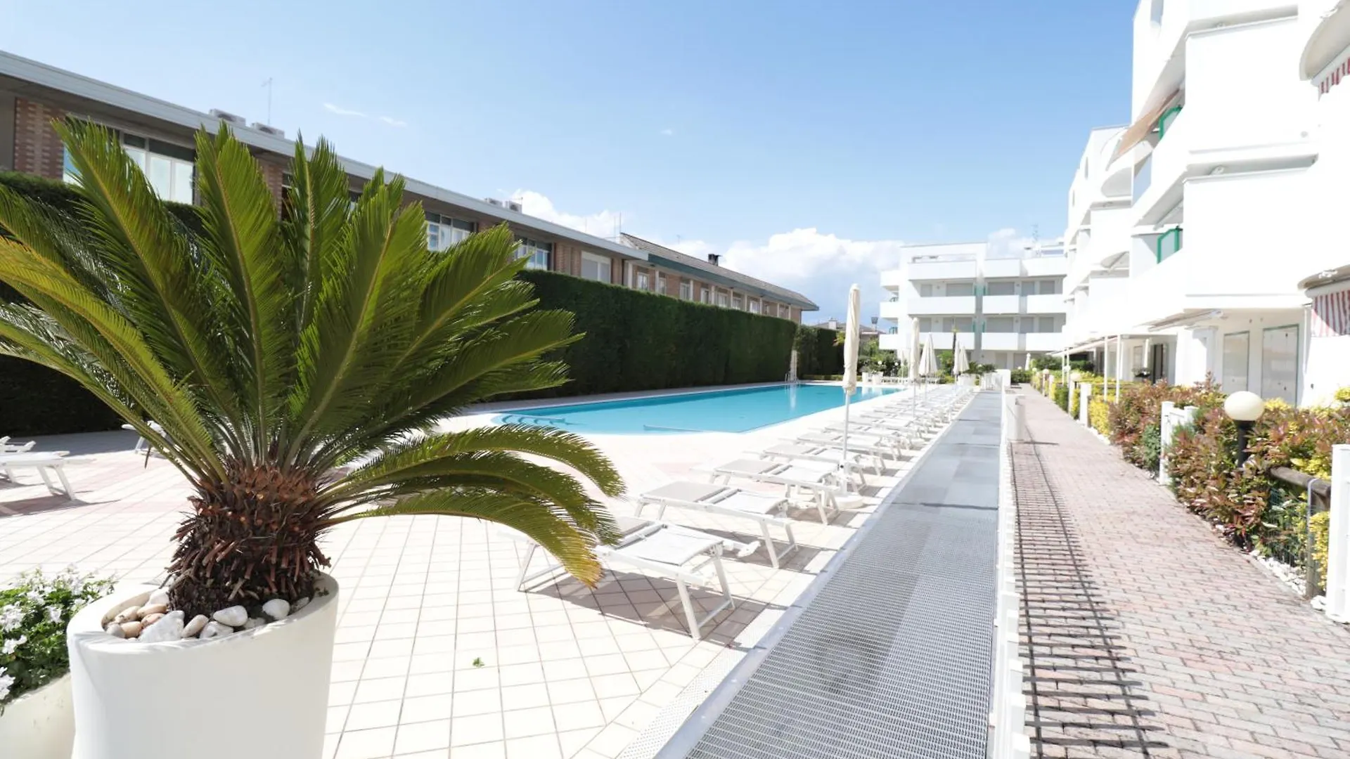 Papaya - Immobiliare Living Daire Lido di Jesolo